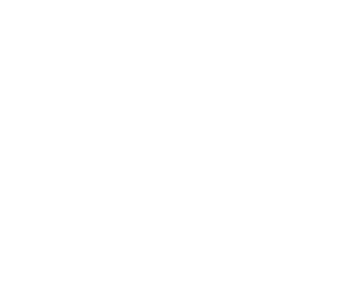 Customer Experience_WHITE