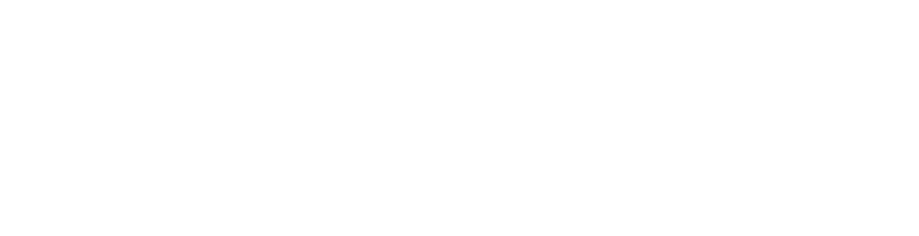 Vision Statement 2