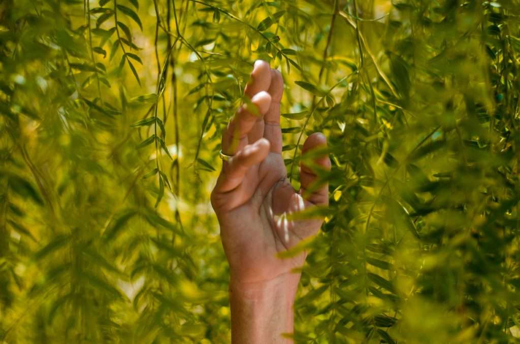 sustainability-2