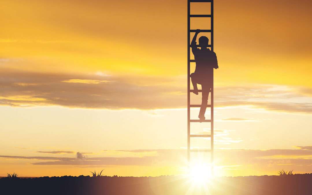 The Most Interesting Job in the World: Exploring the Quality of Life in America