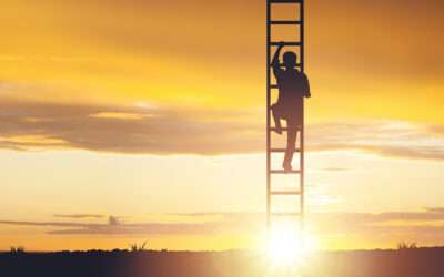 The Most Interesting Job in the World: Exploring the Quality of Life in America