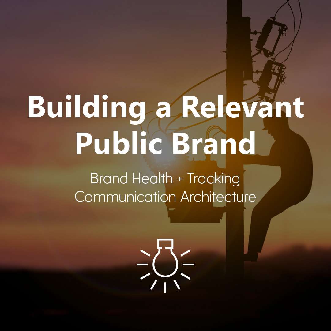 Reputation Management_Public Power