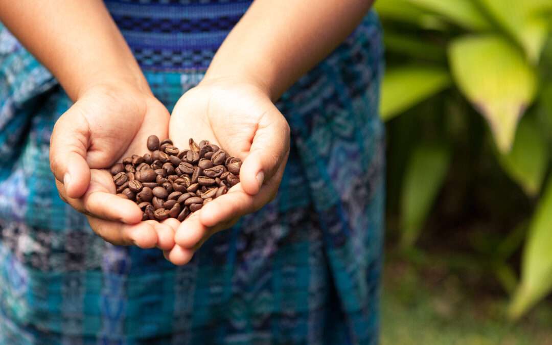 How Origin Branding Builds Market Value