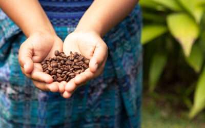 How Origin Branding Builds Market Value