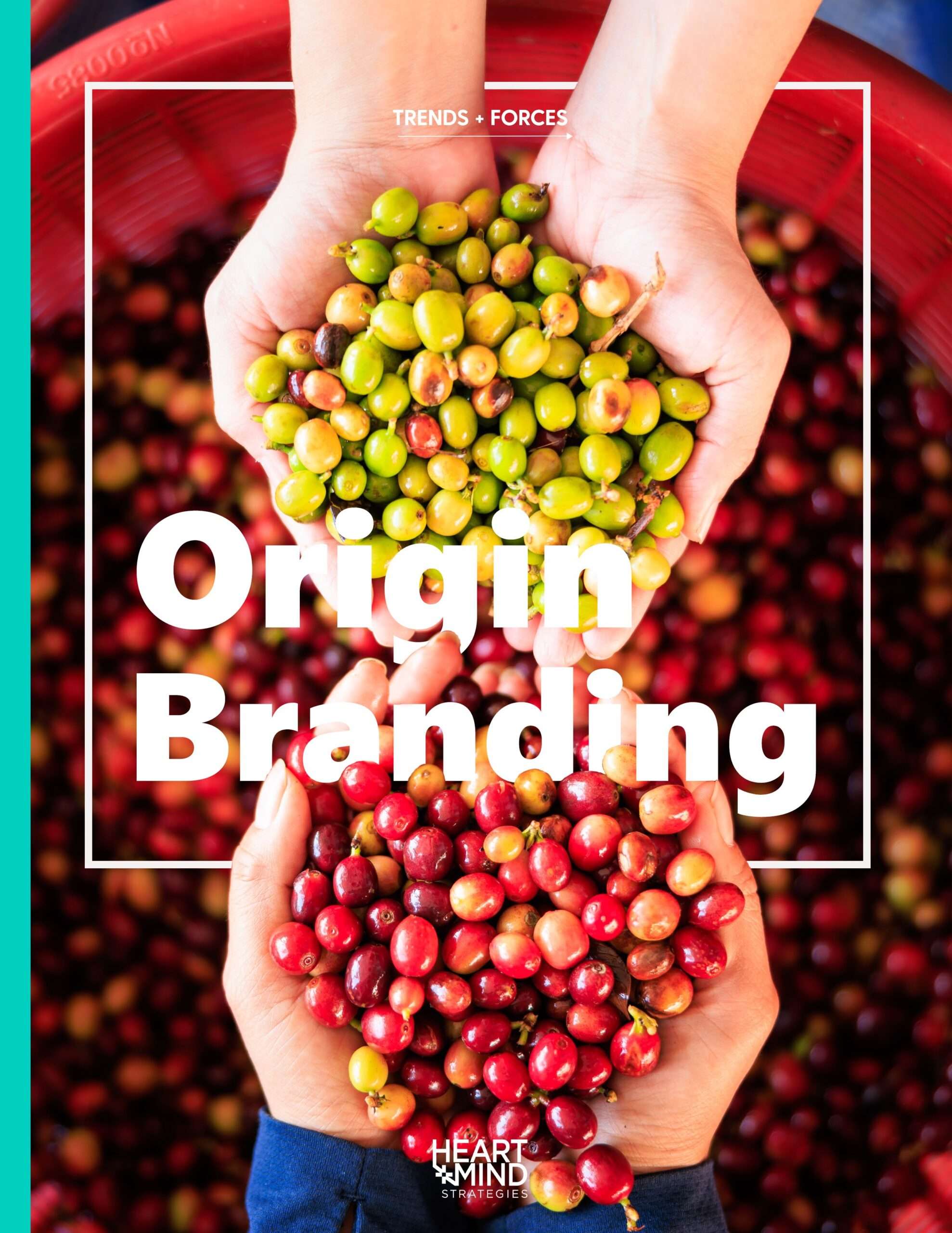 Click to download Trends and Forces report: Origin Branding
